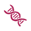 DNA strand icon